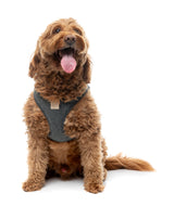 FuzzYard Life Bouclé Harness - Slate Grey