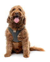 FuzzYard Life Bouclé Harness - Slate Grey