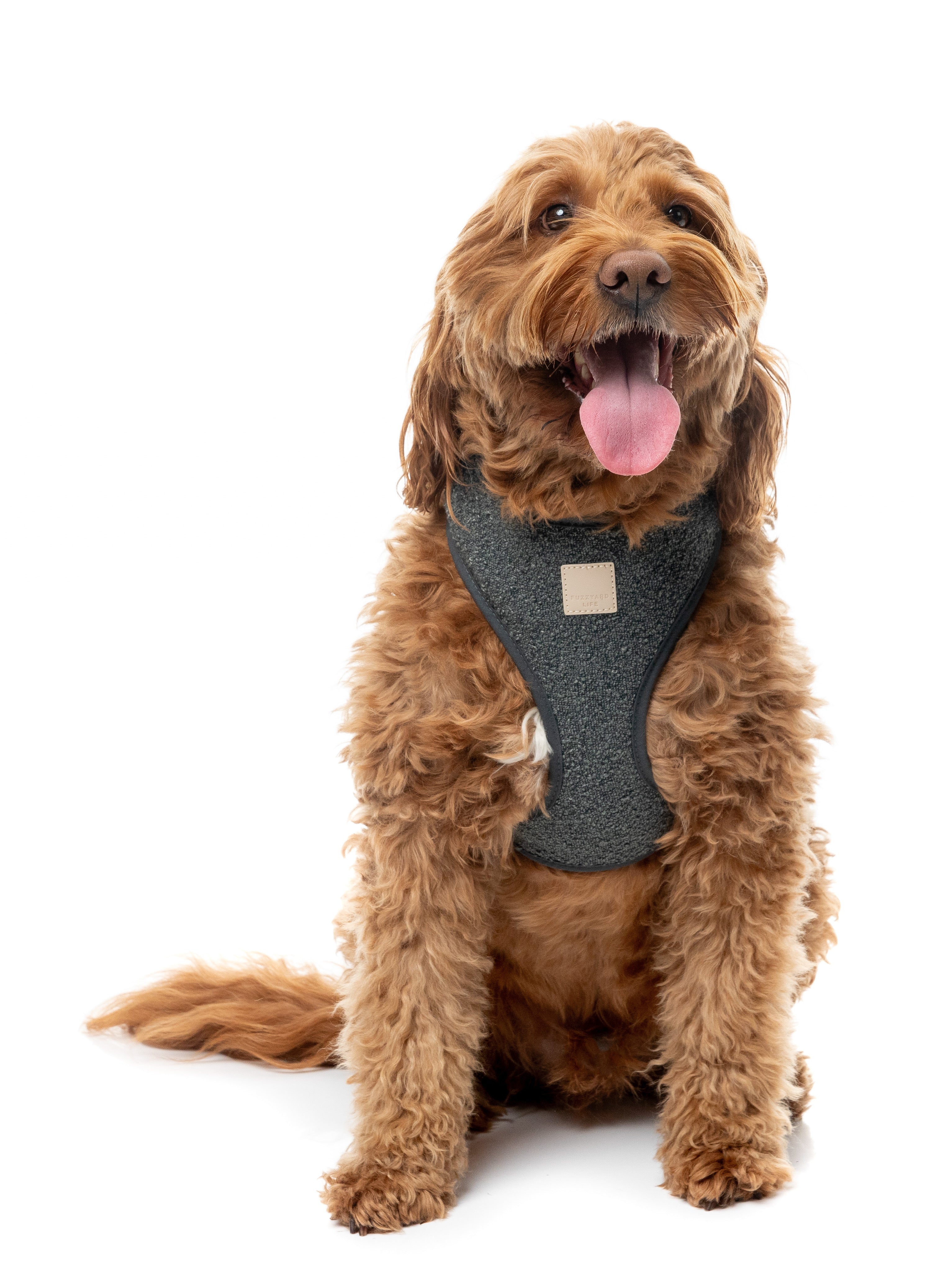 FuzzYard Life Bouclé Harness - Slate Grey