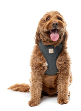 FuzzYard Life Bouclé Harness - Slate Grey