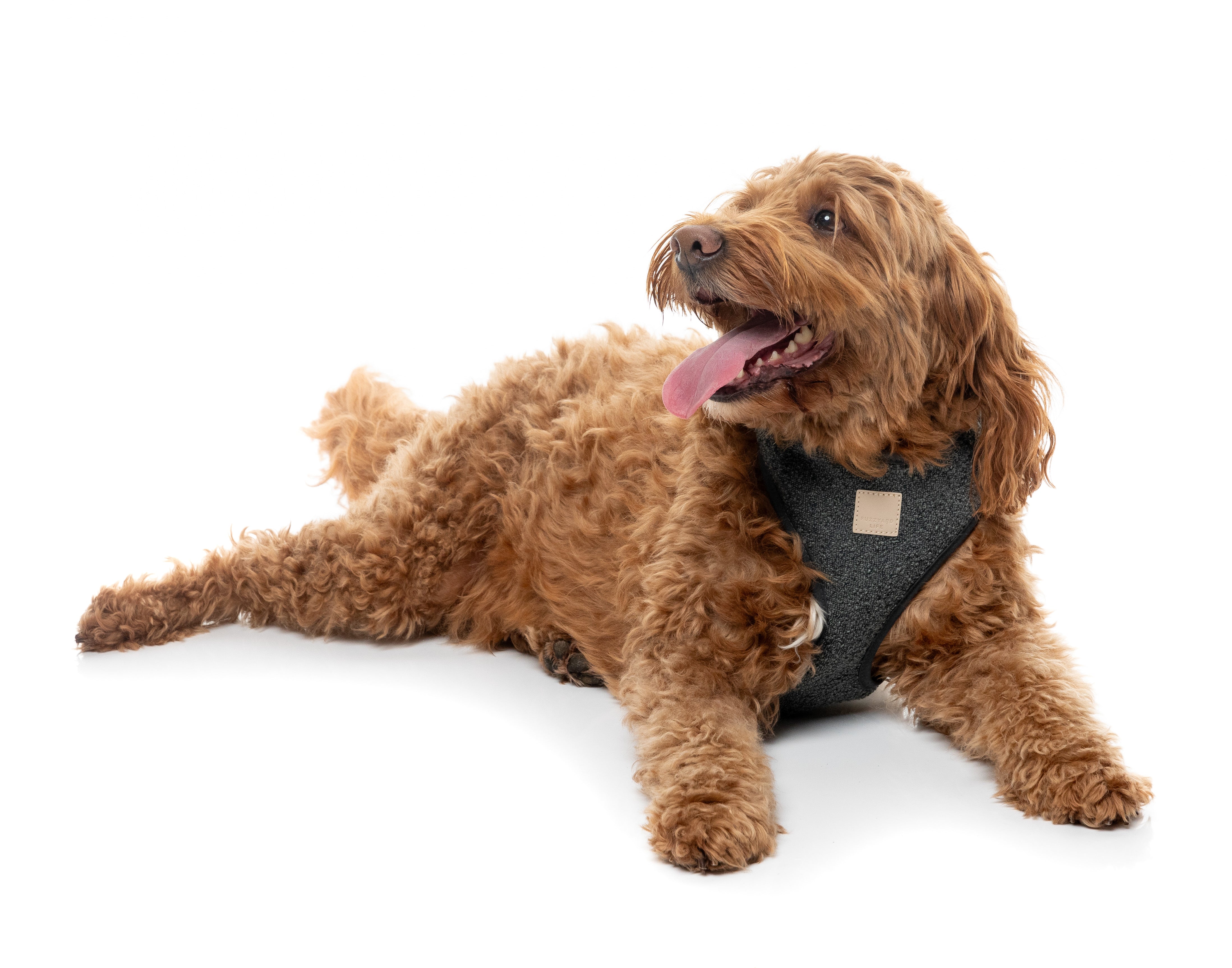 FuzzYard Life Bouclé Harness - Slate Grey
