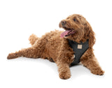 FuzzYard Life Bouclé Harness - Slate Grey