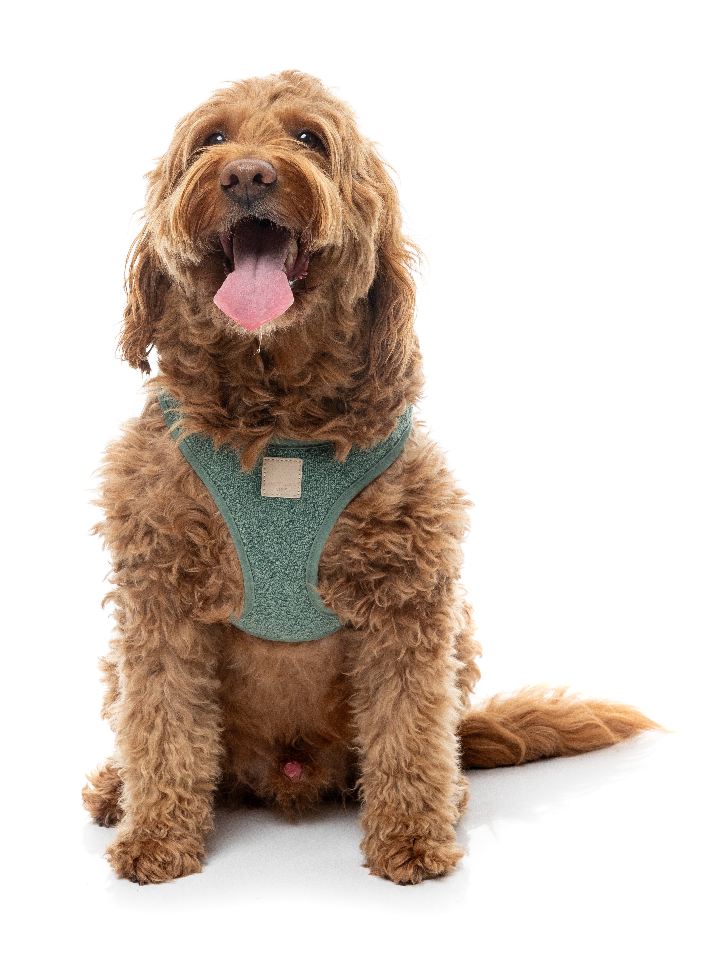 FuzzYard Life Bouclé Harness - Myrtle Green