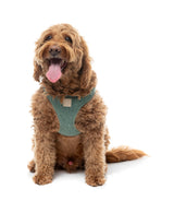 FuzzYard Life Bouclé Harness - Myrtle Green