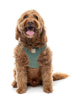 FuzzYard Life Bouclé Harness - Myrtle Green