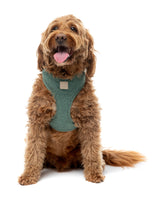 FuzzYard Life Bouclé Harness - Myrtle Green