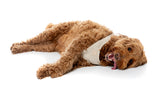 FuzzYard Life Bouclé Harness - Sandstone