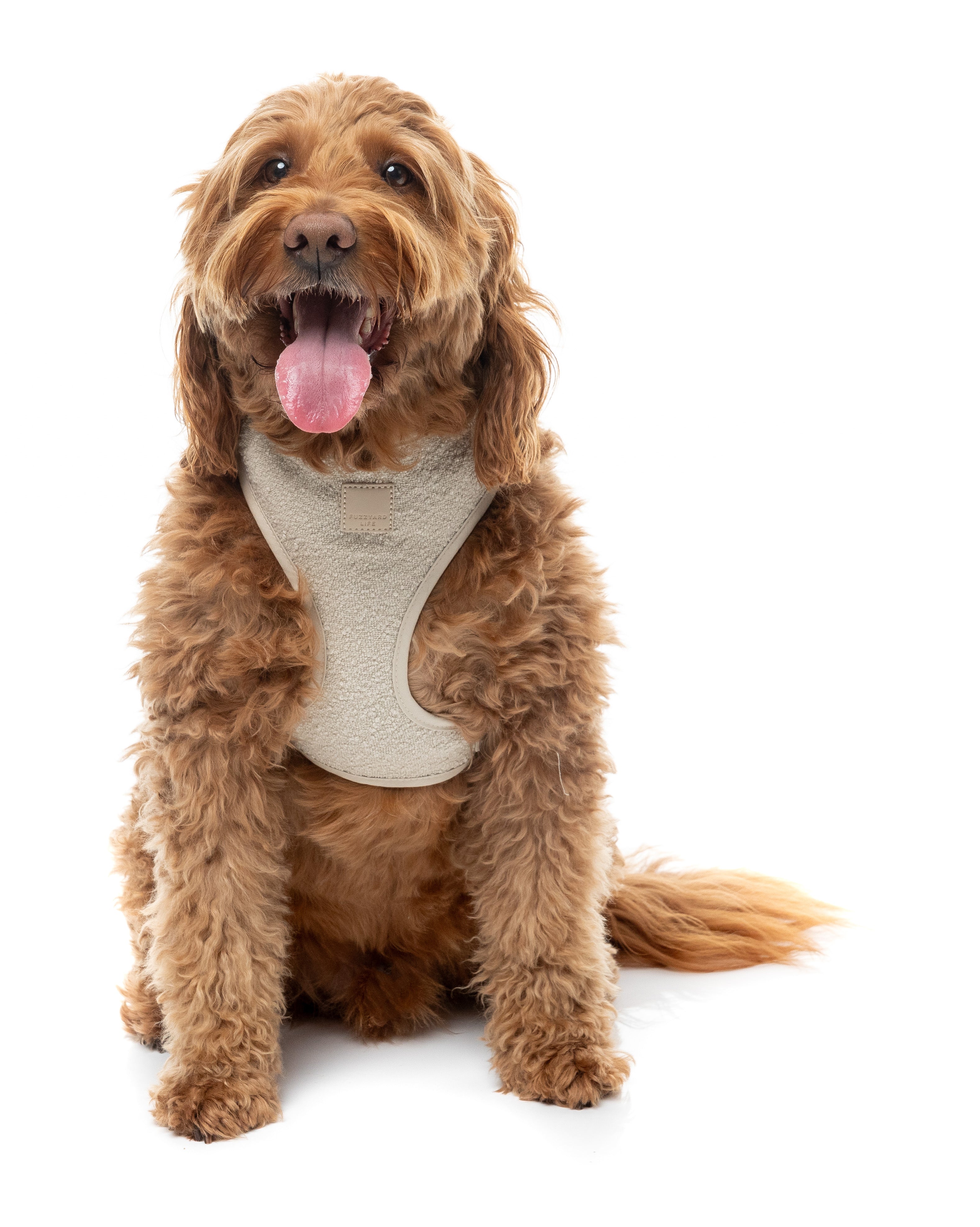 FuzzYard Life Bouclé Harness - Sandstone