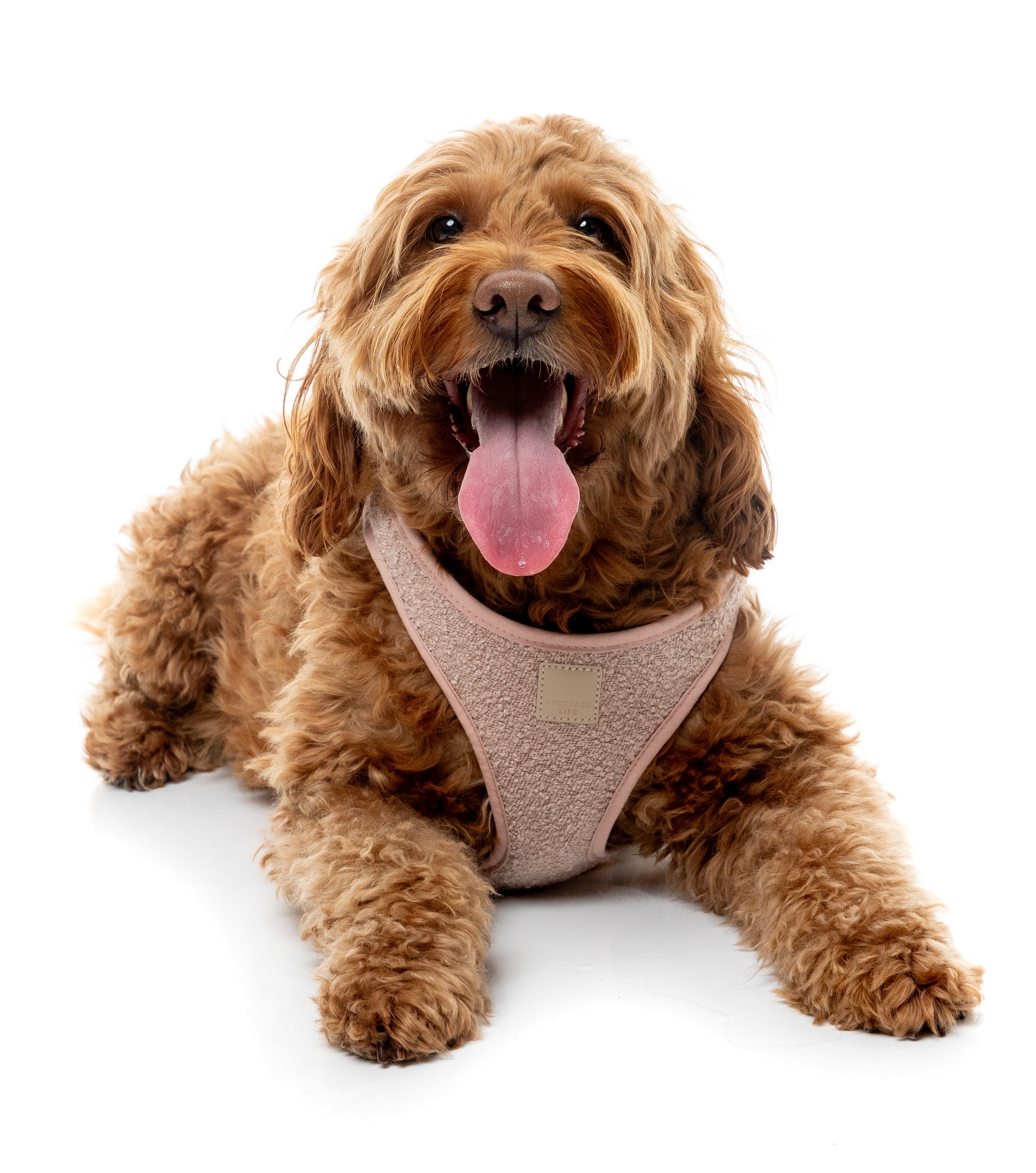 FuzzYard Life Bouclé Harness - Soft Blush