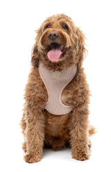 FuzzYard Life Bouclé Harness - Soft Blush
