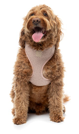 FuzzYard Life Bouclé Harness - Soft Blush