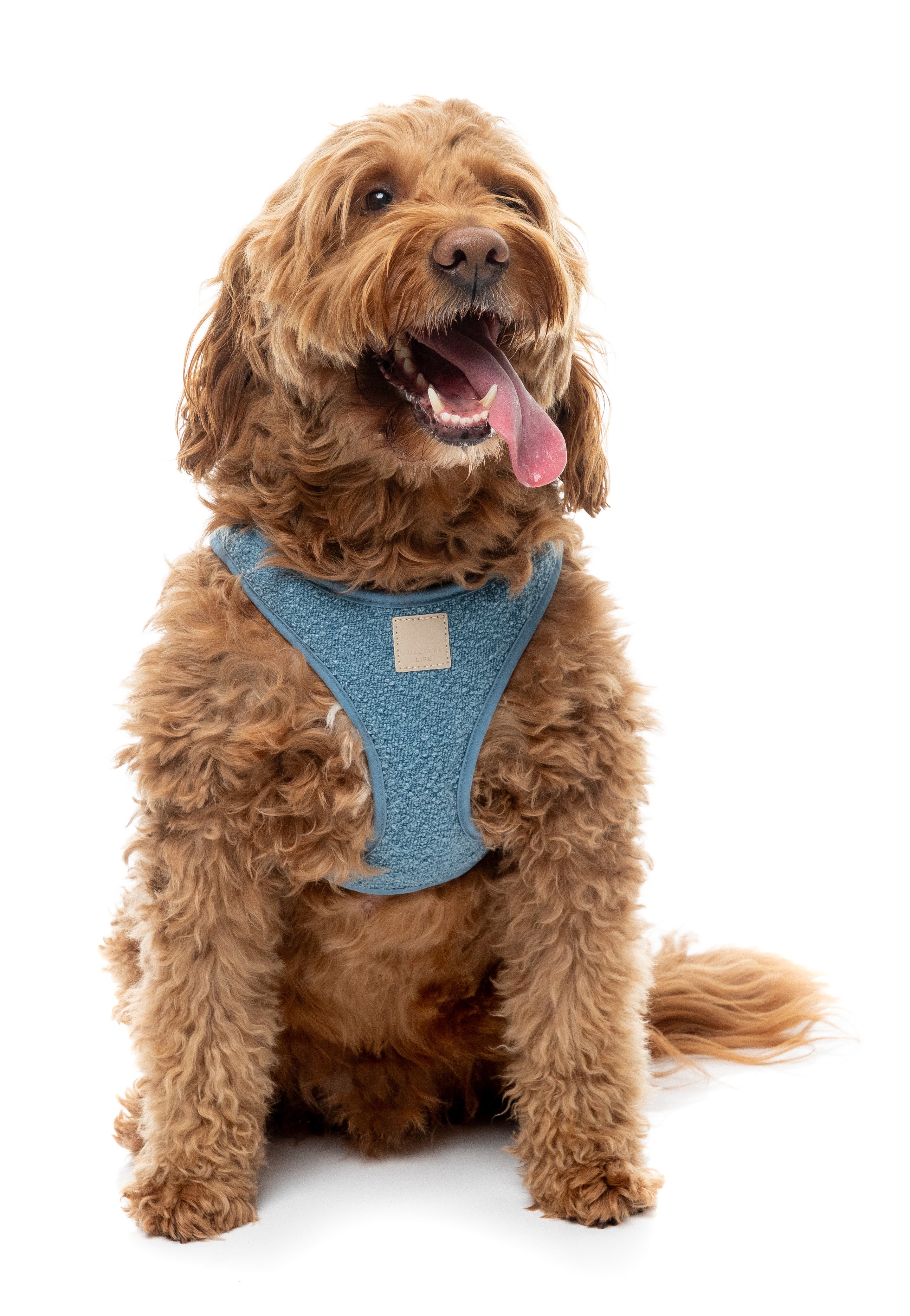 FuzzYard Life Bouclé Harness - French Blue
