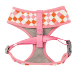 Checkmate - Sherbet - Harness