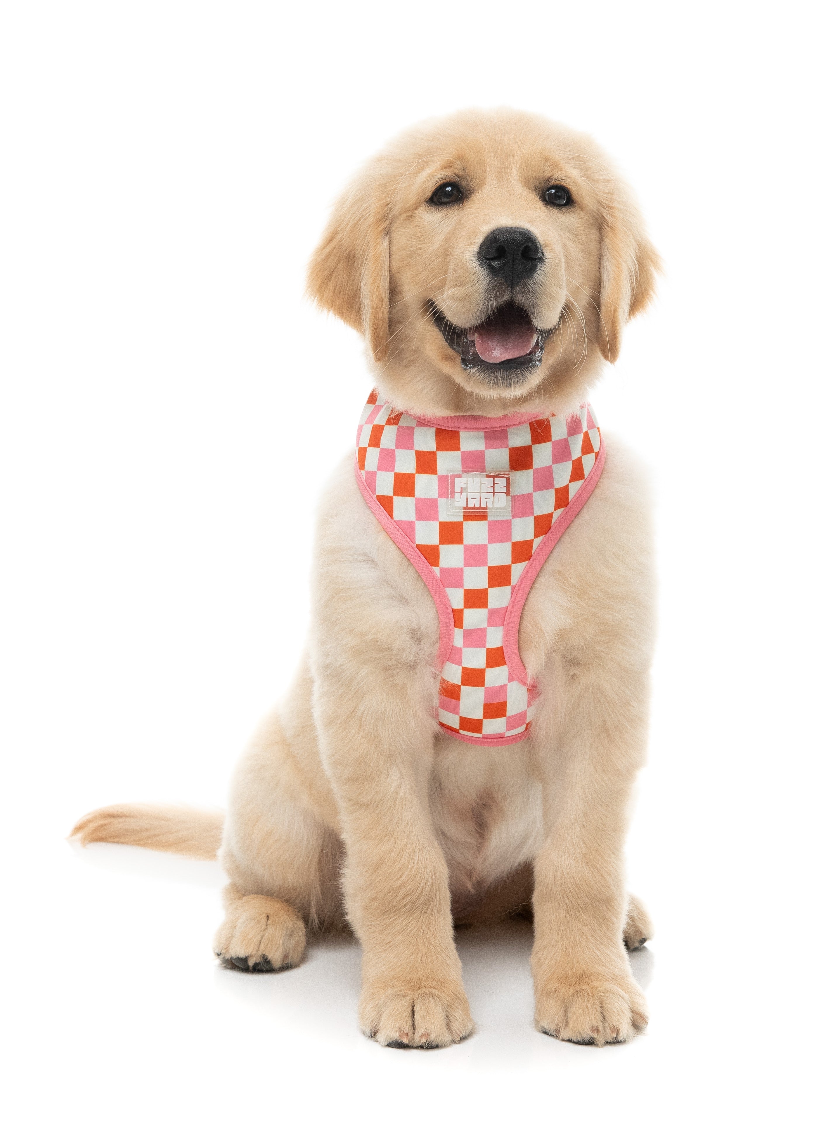 Checkmate - Sherbet - Harness
