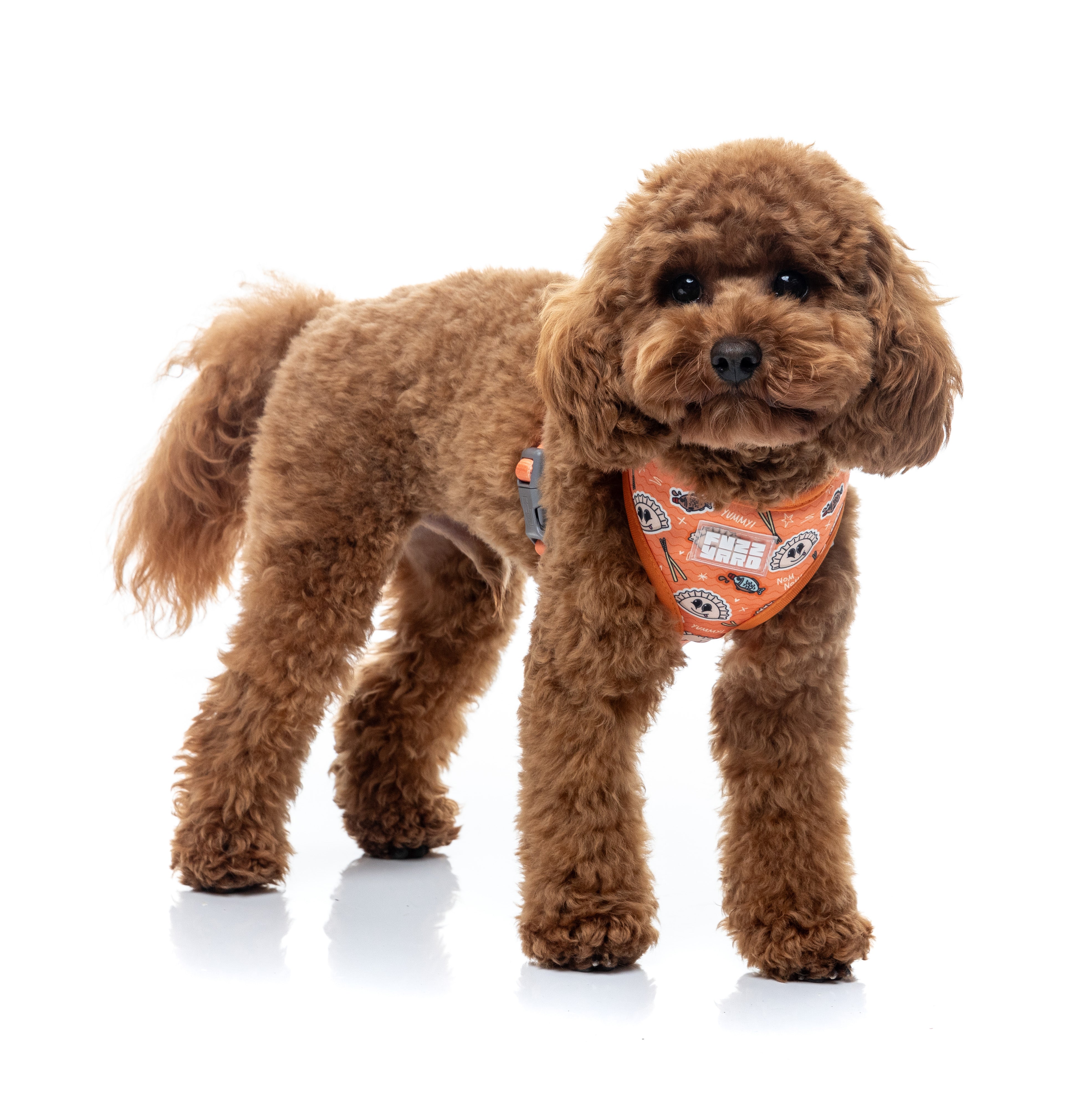 Bao Wow - Harness