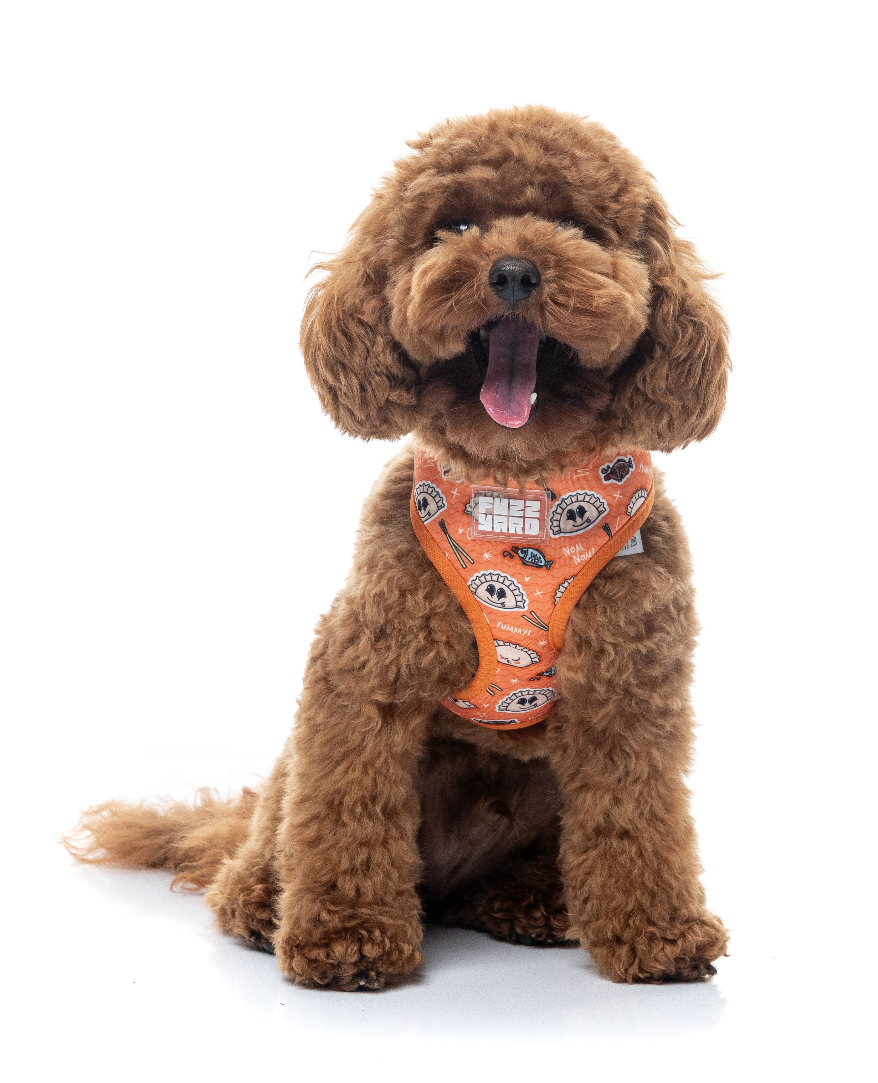 Bao Wow - Harness