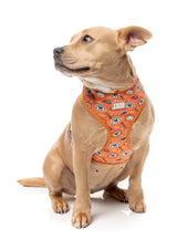 Bao Wow - Harness