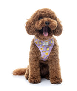 Easy Peasy - Harness