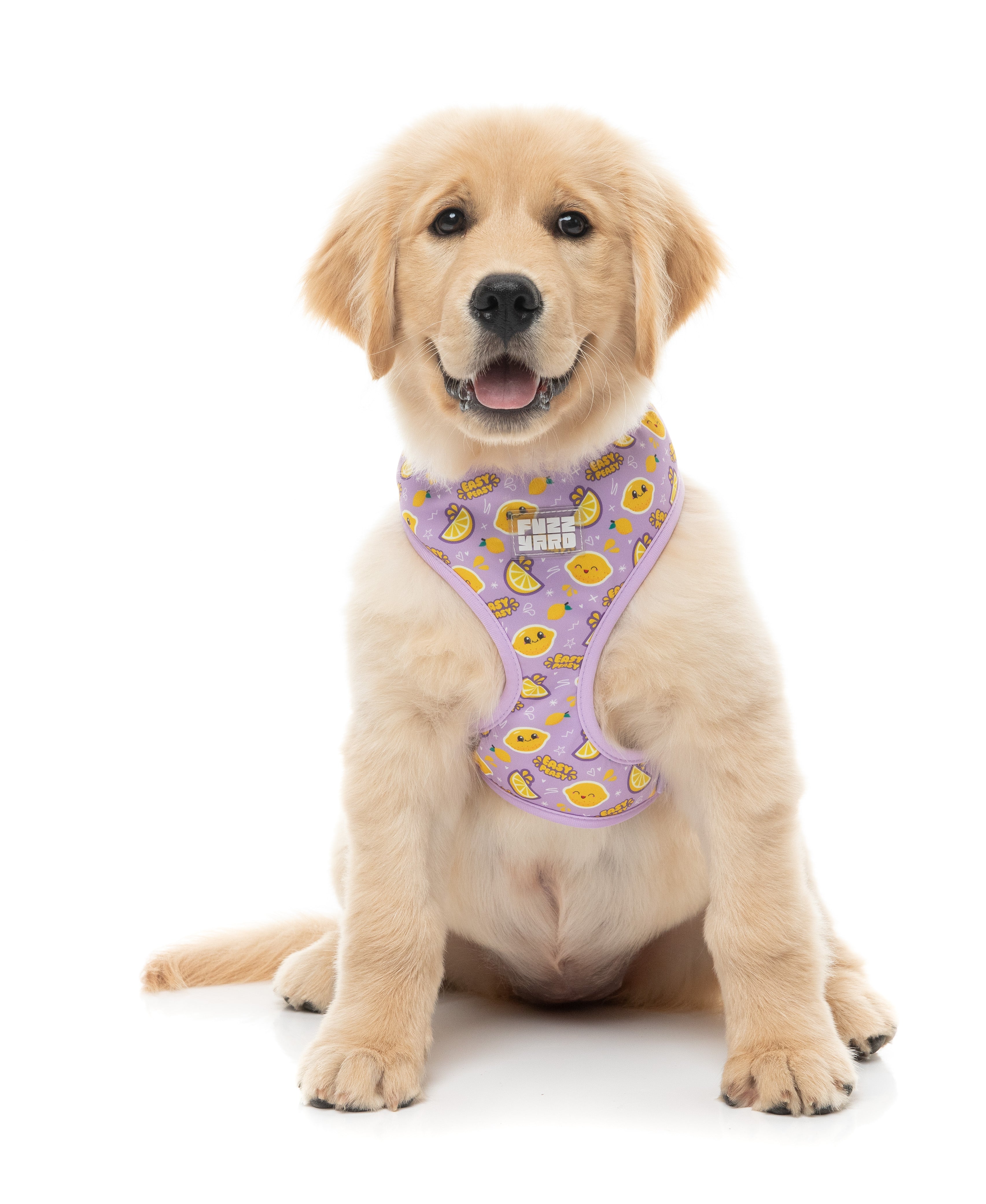 Easy Peasy - Harness