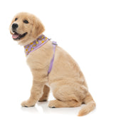 Easy Peasy - Harness
