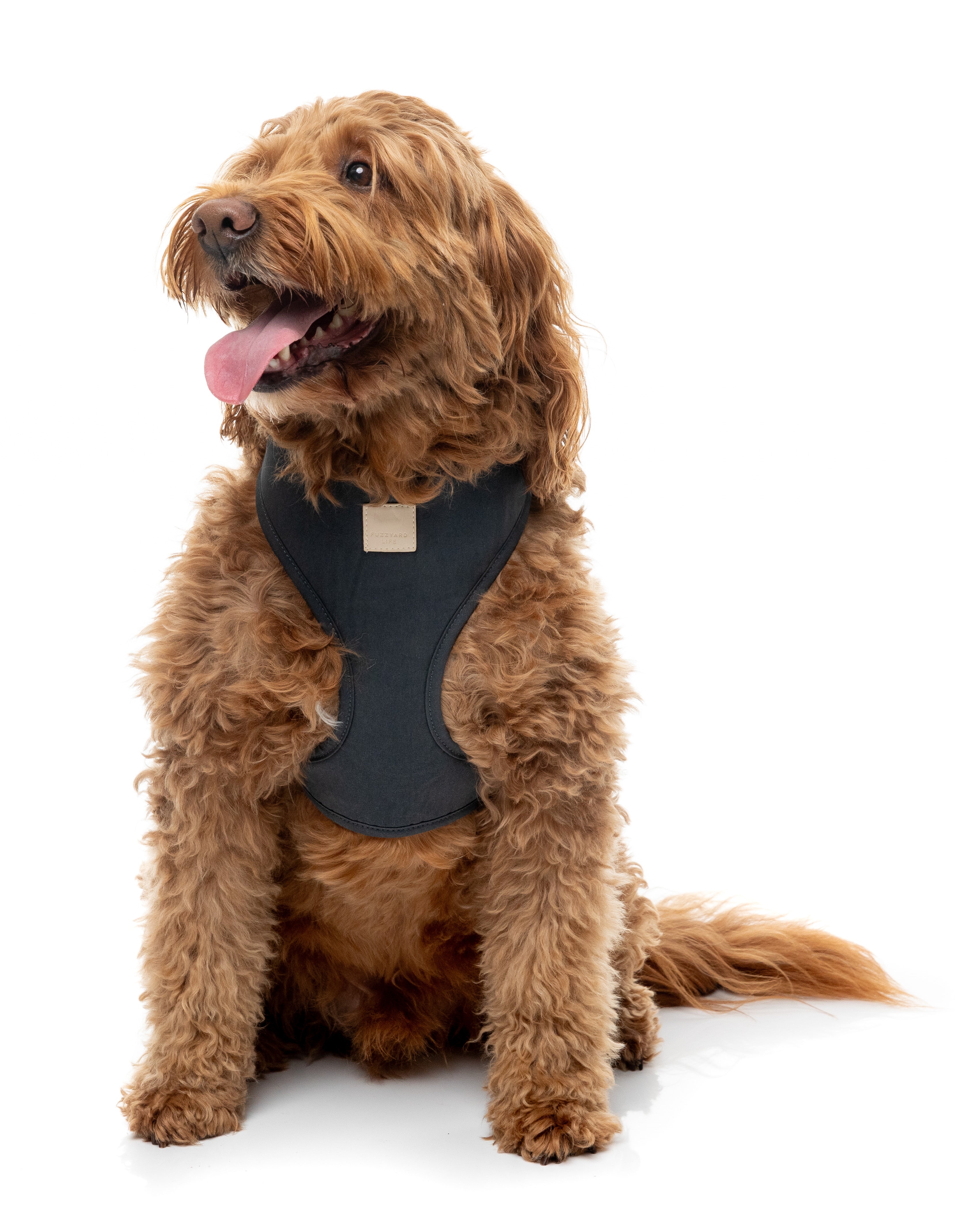 FuzzYard Life Harness - Slate Grey