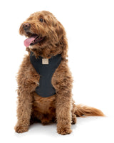 FuzzYard Life Harness - Slate Grey