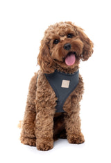 FuzzYard Life Harness - Slate Grey