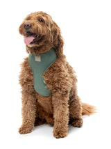 FuzzYard Life Harness - Myrtle Green