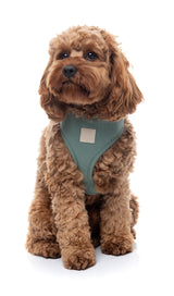 FuzzYard Life Harness - Myrtle Green