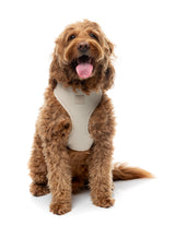 FuzzYard Life Harness - Sandstone