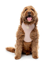 FuzzYard Life Harness - Soft Blush