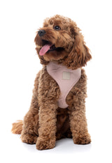 FuzzYard Life Harness - Soft Blush