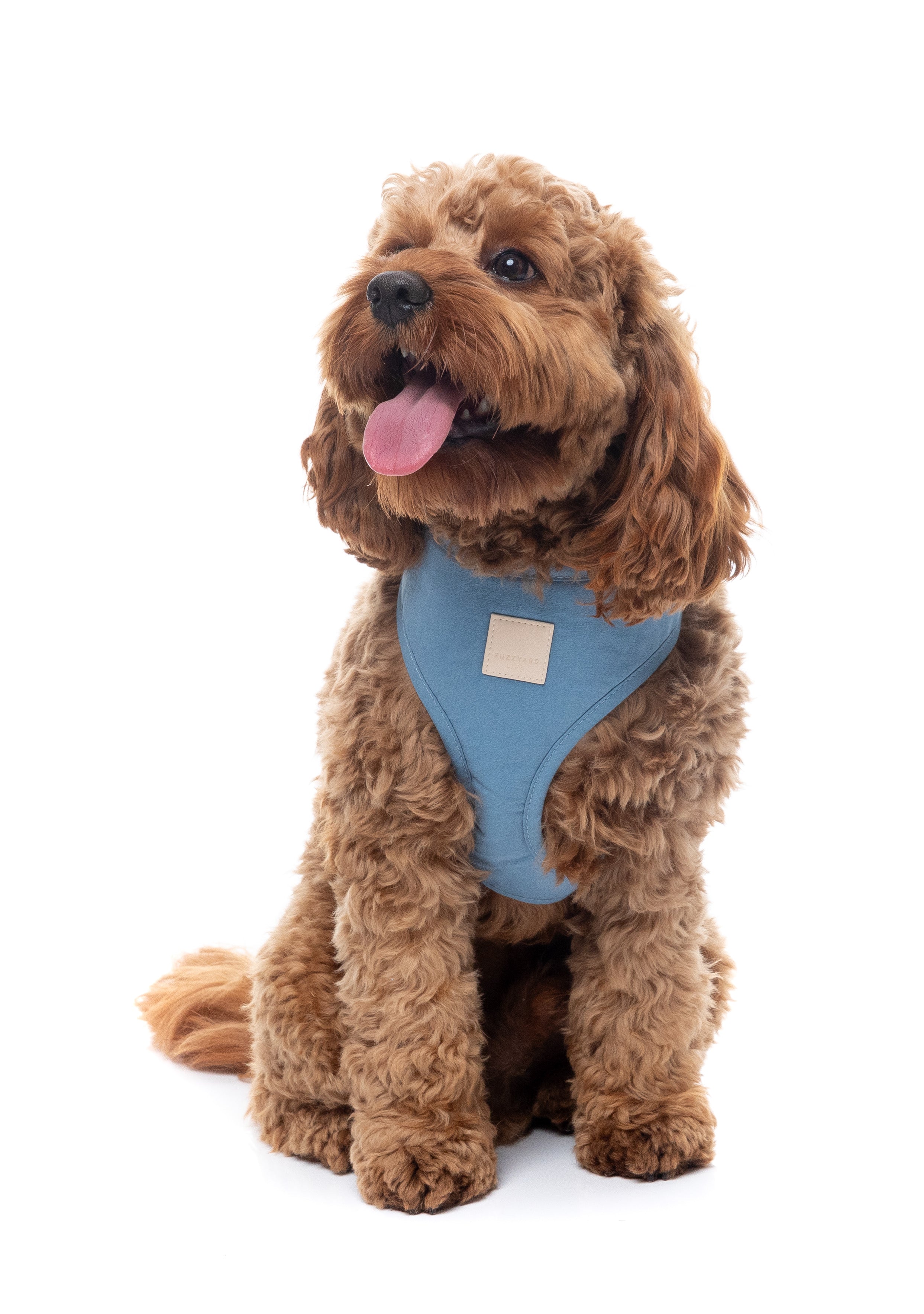 FuzzYard Life Harness - French Blue