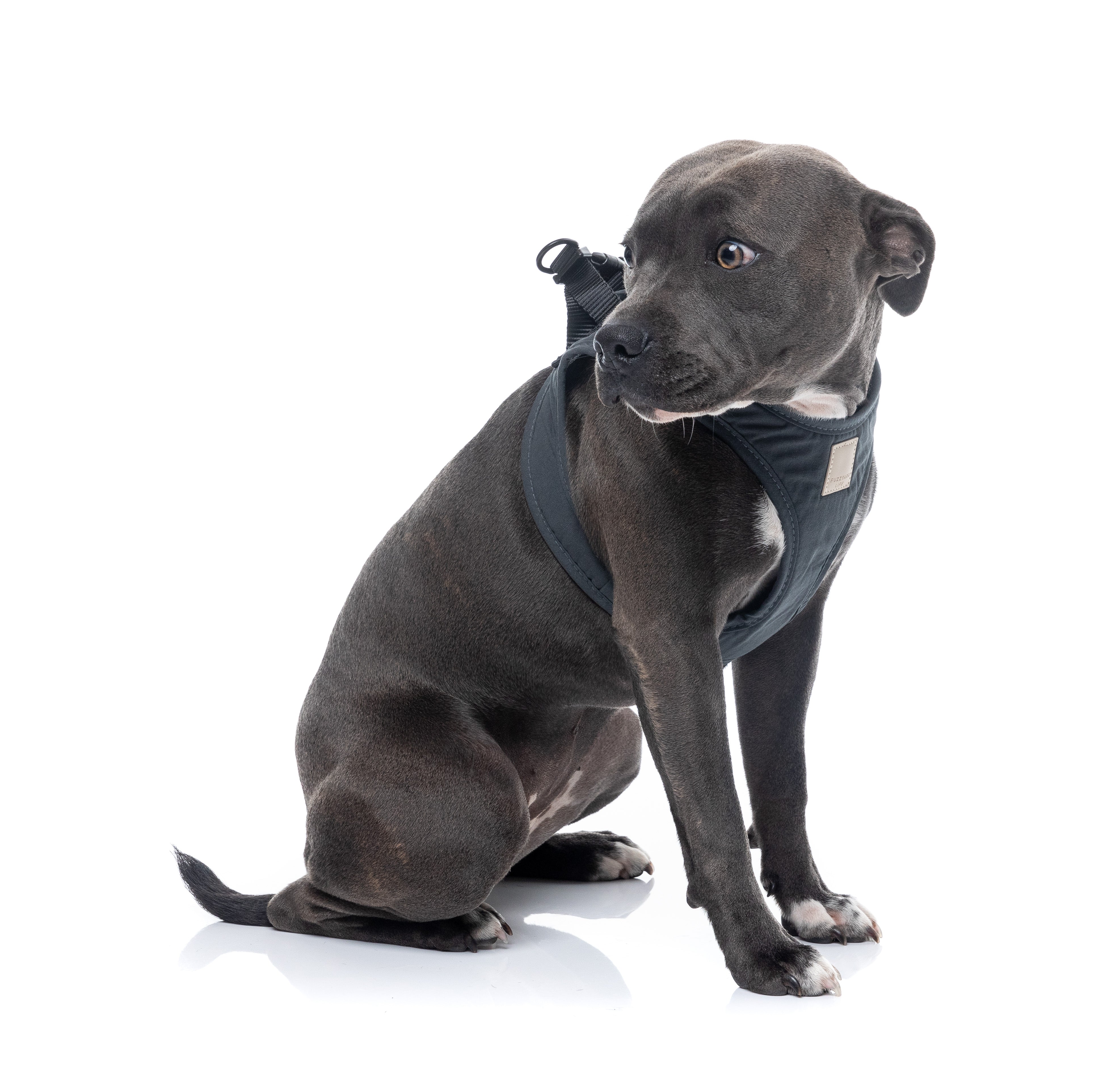 FuzzYard Life Step In Harness - Slate Grey