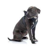 FuzzYard Life Step In Harness - Slate Grey