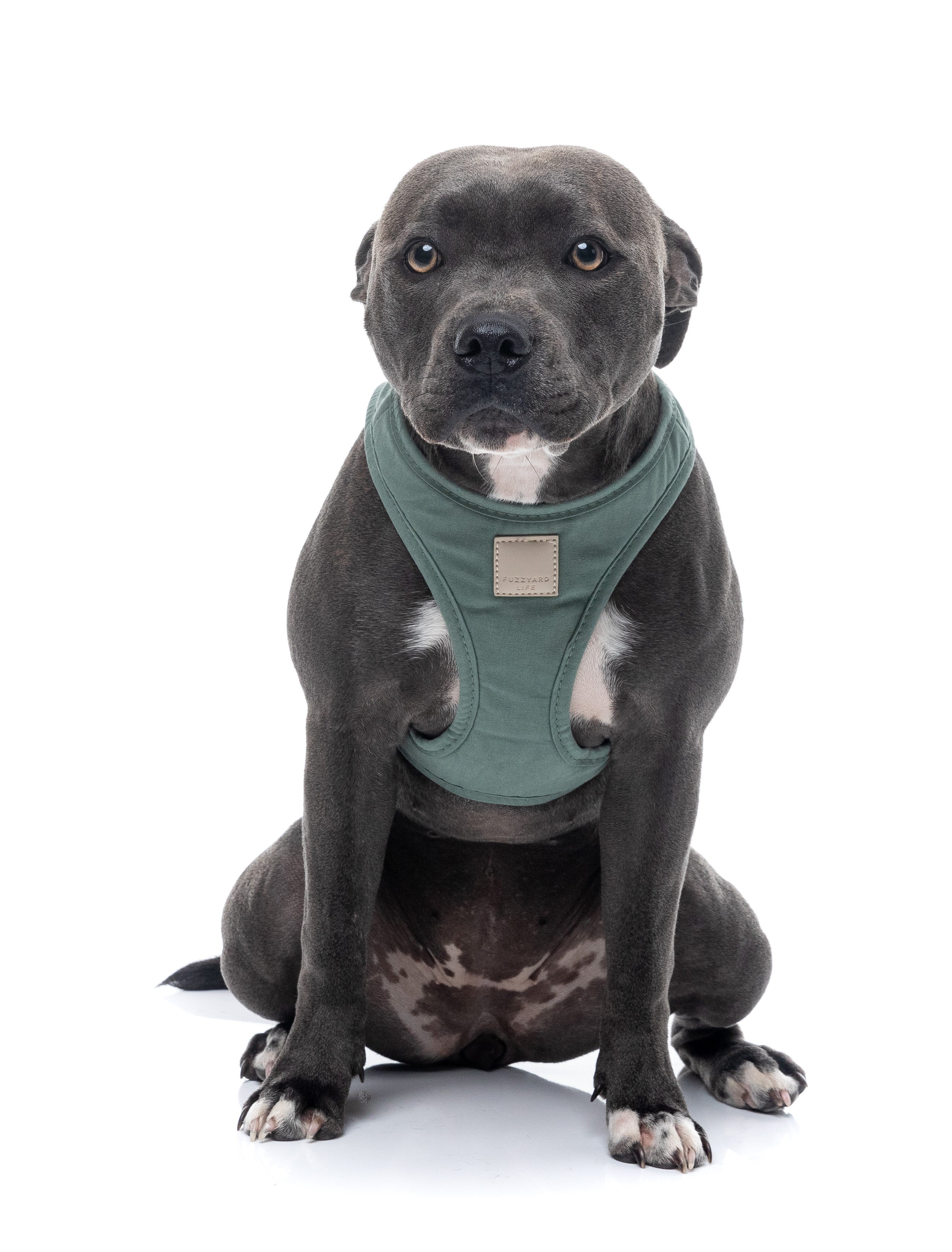 FuzzYard Life Step In Harness - Myrtle Green