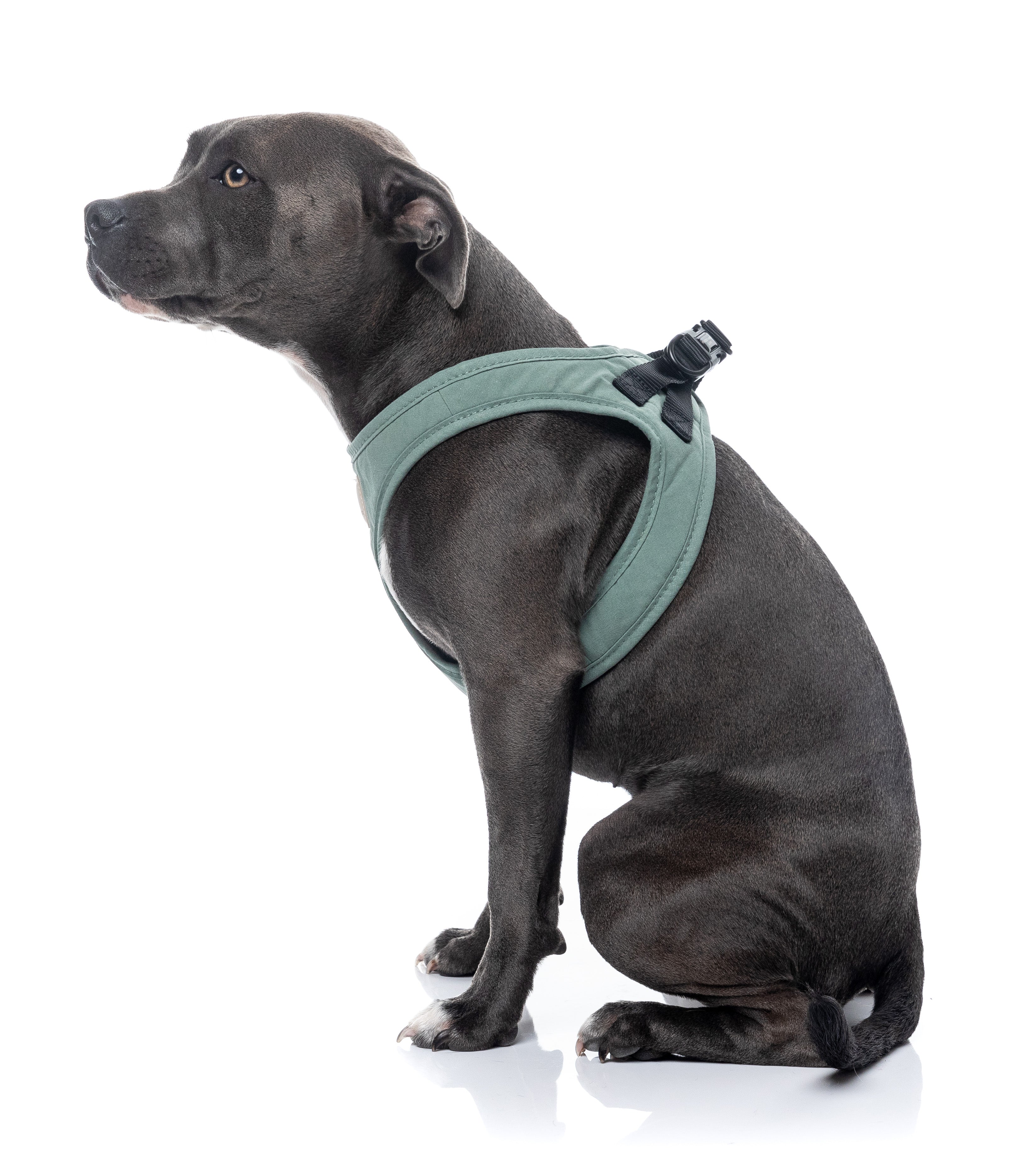 FuzzYard Life Step In Harness - Myrtle Green