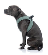 FuzzYard Life Step In Harness - Myrtle Green