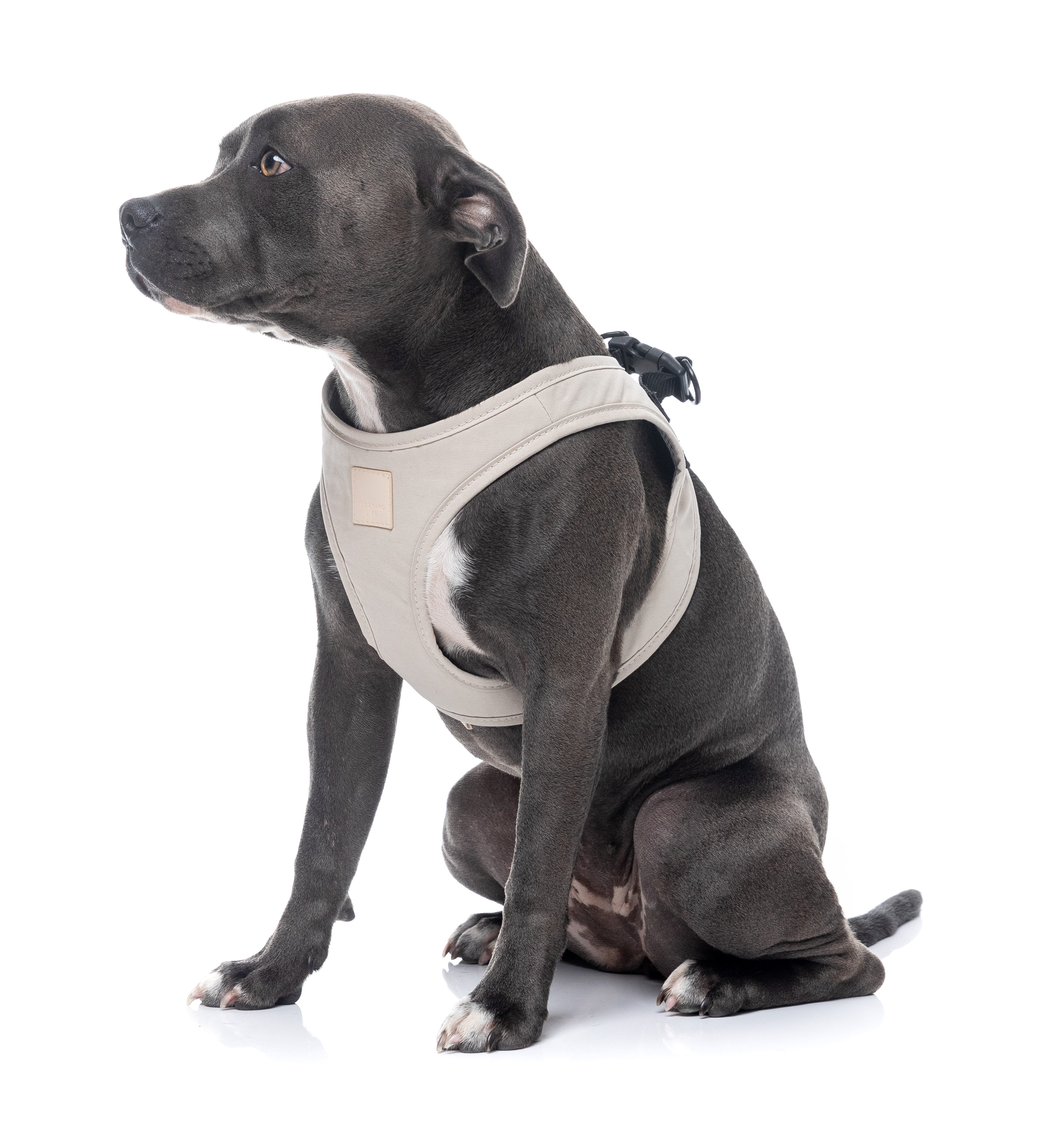 FuzzYard Life Step In Harness - Sandstone