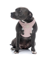 FuzzYard Life Step In Harness - Soft Blush