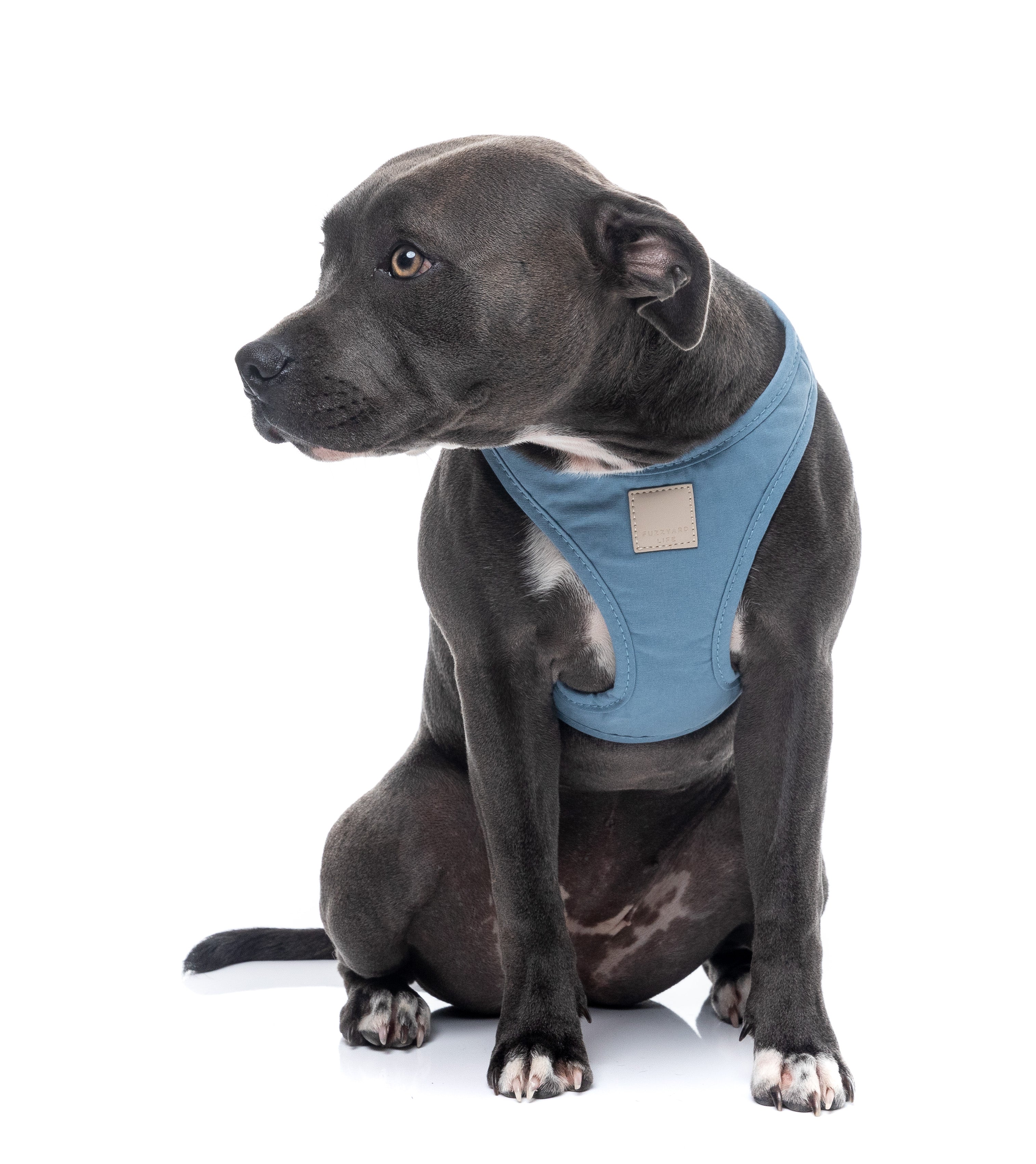 FuzzYard Life Step In Harness - French Blue
