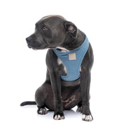 FuzzYard Life Step In Harness - French Blue