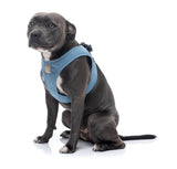 FuzzYard Life Step In Harness - French Blue