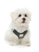 FuzzYard Life Boucle Step-In Harness - Slate Grey
