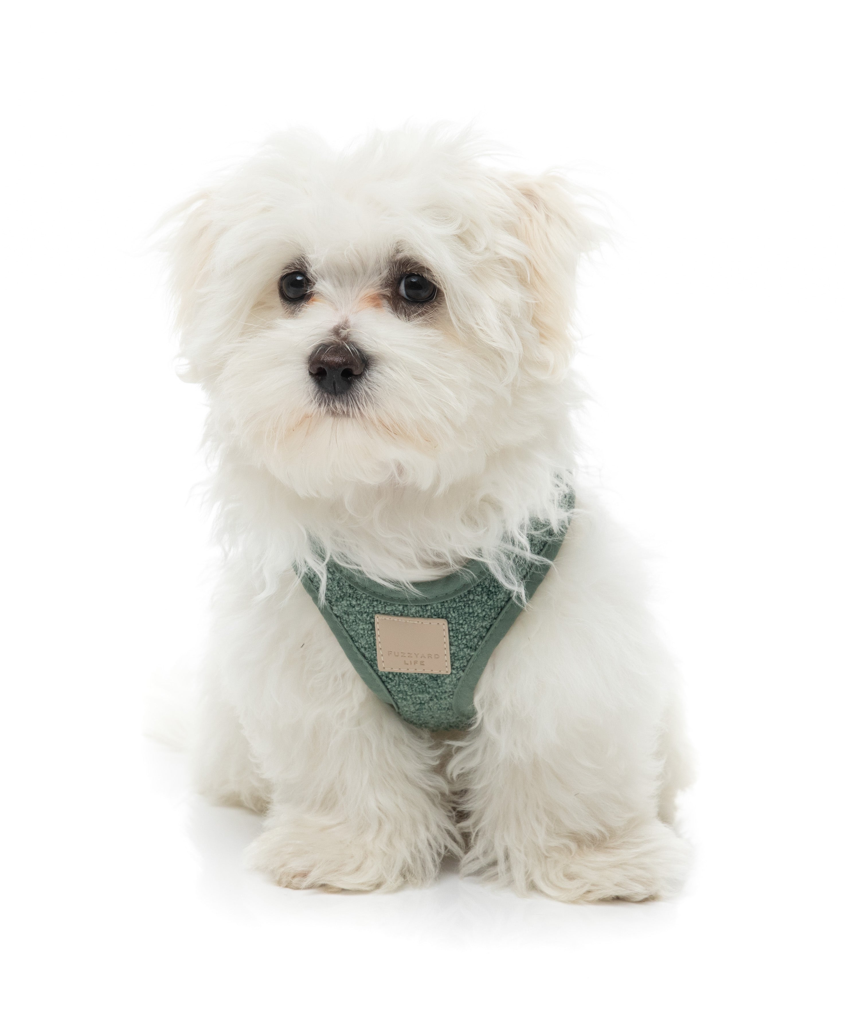 FuzzYard Life Boucle Step-In Harness - Myrtle Green