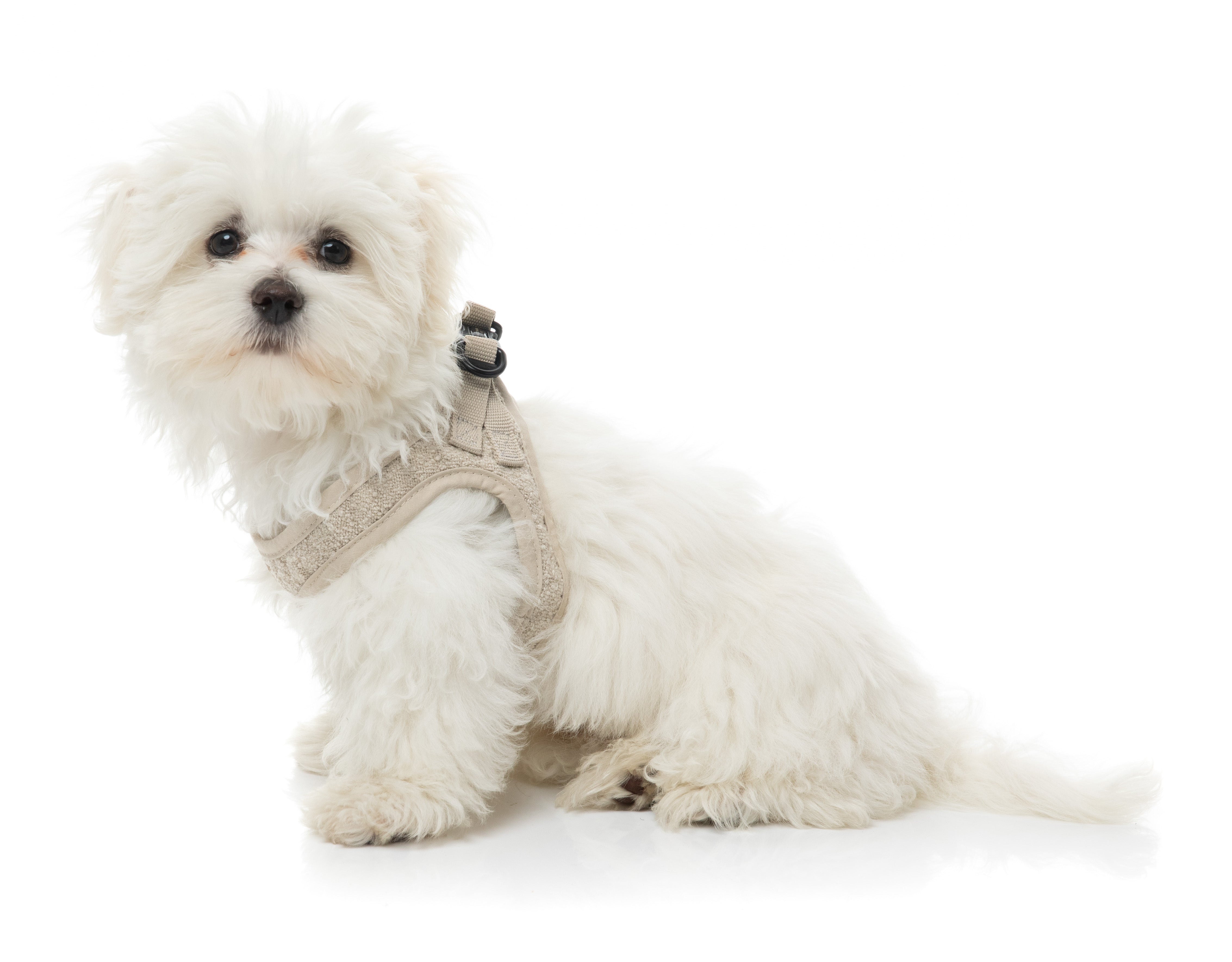 FuzzYard Life Boucle Step-In Harness - Sandstone