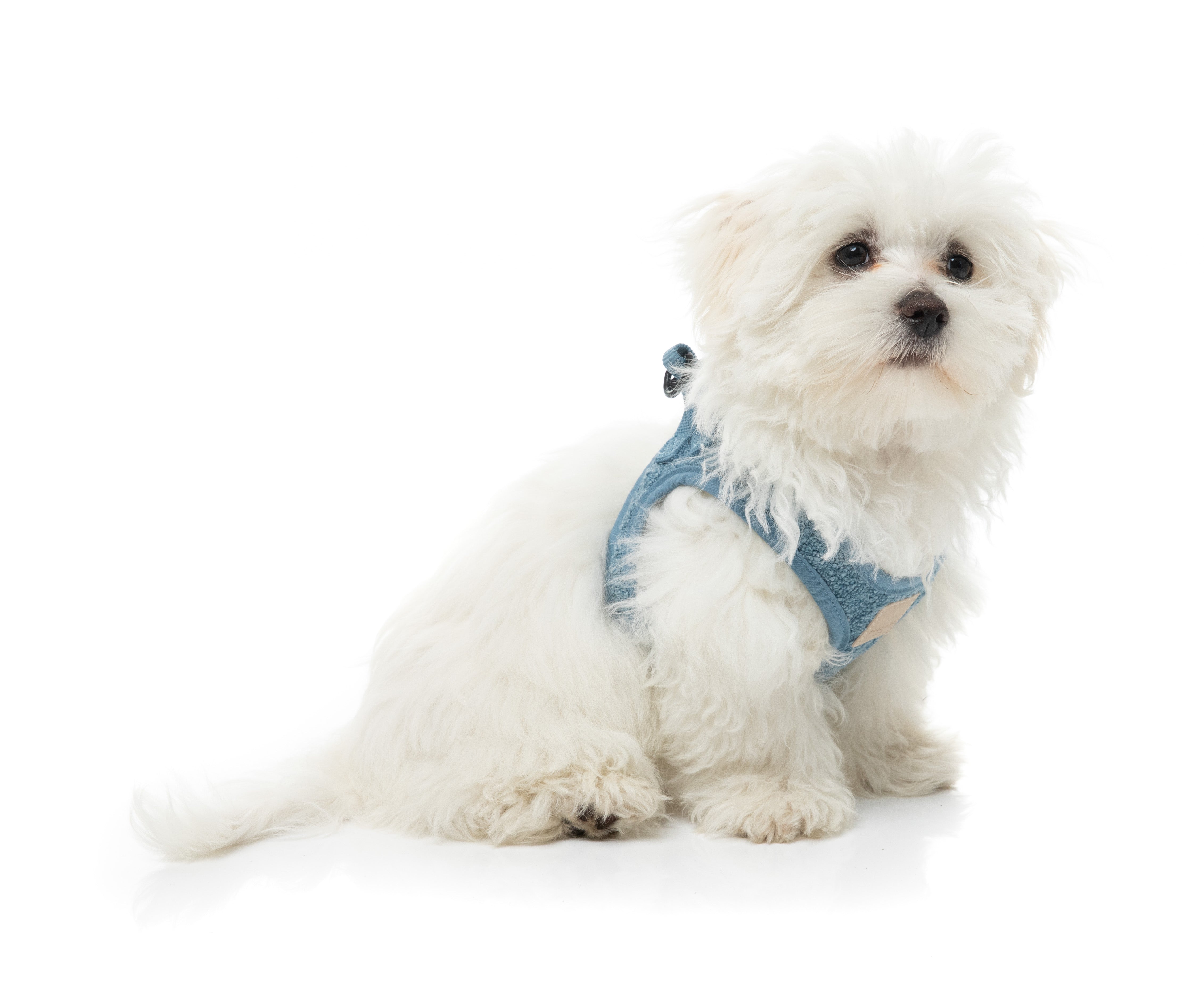 FuzzYard Life Boucle Step-In Harness - French Blue