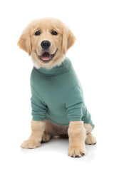 FuzzYard Life Soft Touch Pyjamas - Myrtle Green