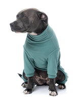 FuzzYard Life Soft Touch Pyjamas - Myrtle Green
