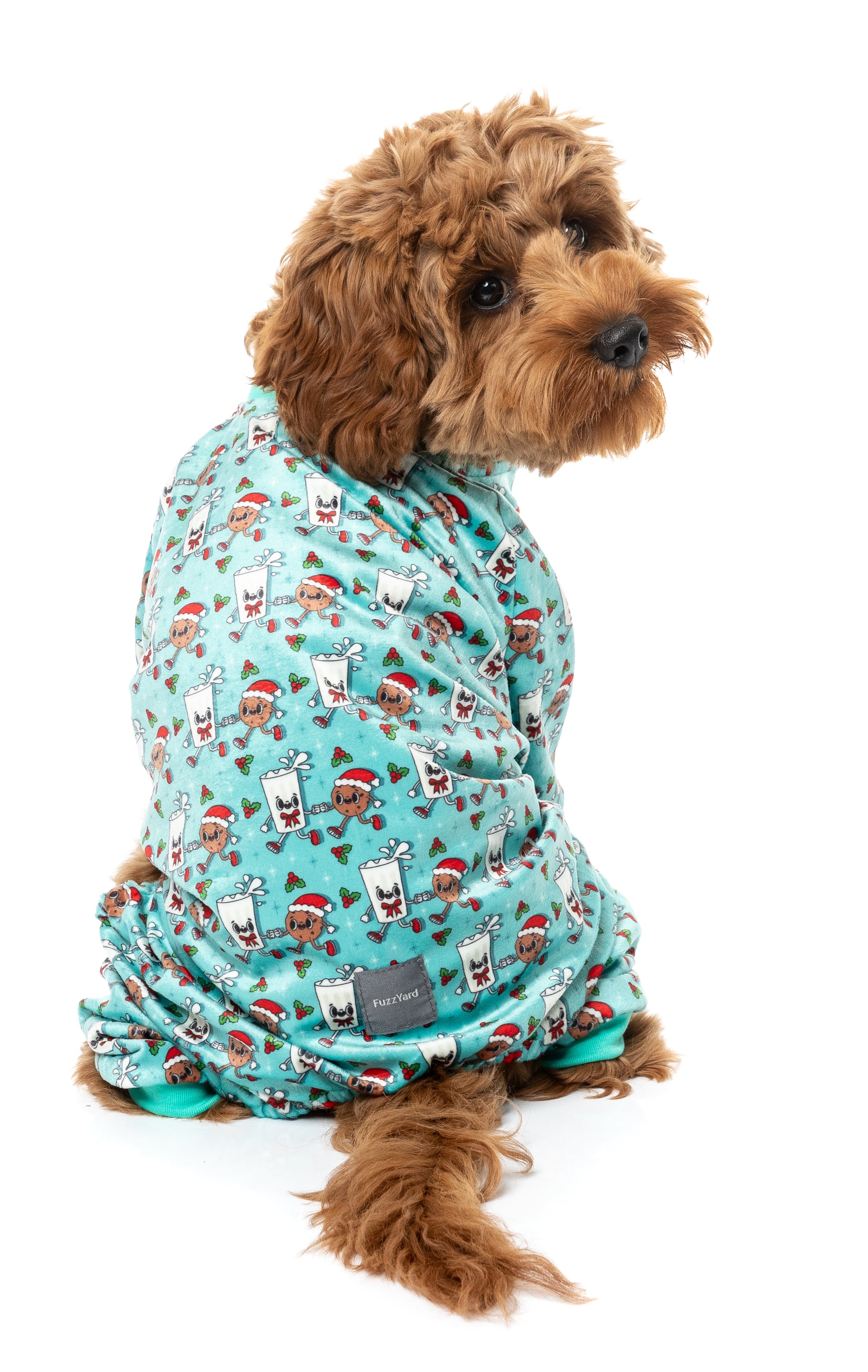FuzzYard Pajamas - Santas Snacks Pyjama